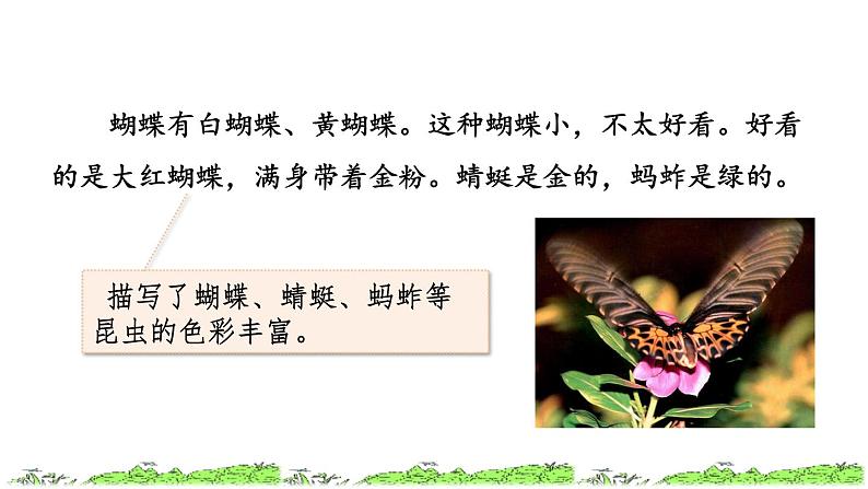 2《祖父的园子》课件+教案+练习+素材08