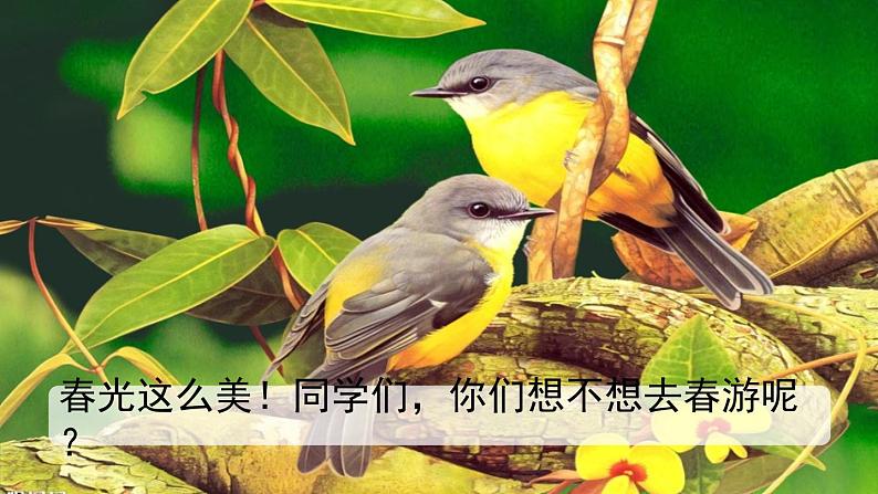 部编版语文三年级下册 第一单元 口语交际：春游去哪儿玩 PPT课件01