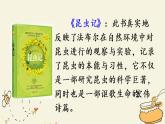 部编版语文三年级下册 第四单元 14 蜜蜂 PPT课件