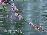 人教部编版语文四年级下册 第一单元 4 三月桃花水 PPT课件
