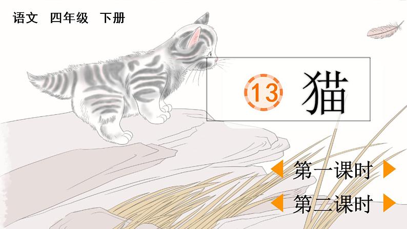 13 猫第1页