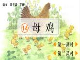人教部编版语文四年级下册 第四单元 14 母鸡 PPT课件