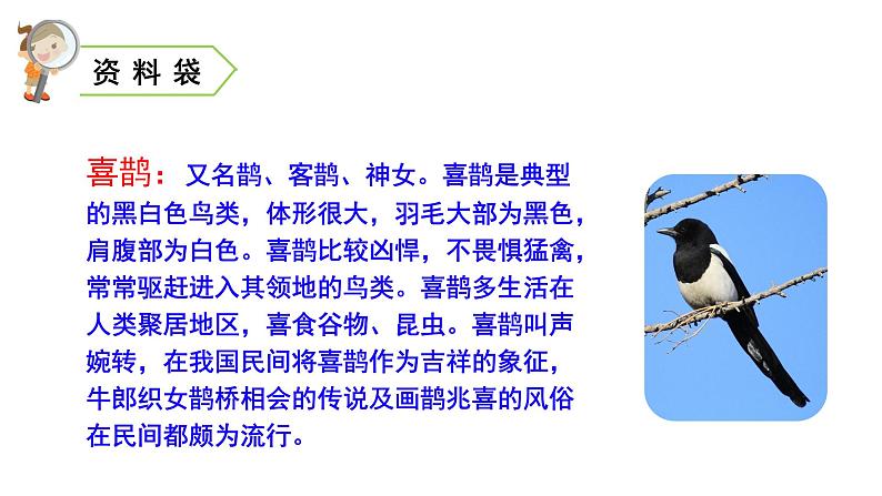 2022春部编版一年级下册语文6 树和喜鹊 课件+教案+素材03