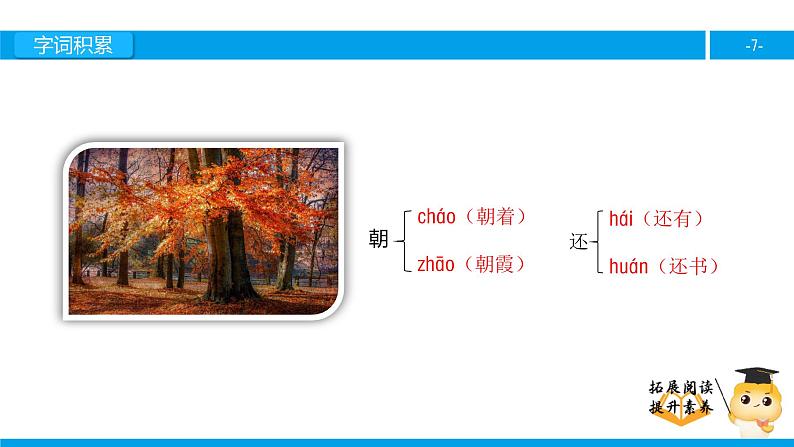 二年级【专项训练】课外阅读：火红的枫叶（上）课件PPT07