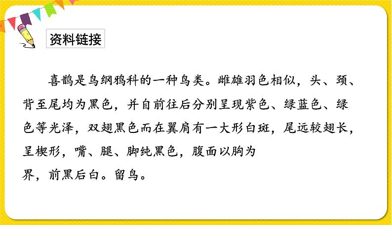 人教部编版一年级下册语文——课文2 6.树和喜鹊课件PPT03