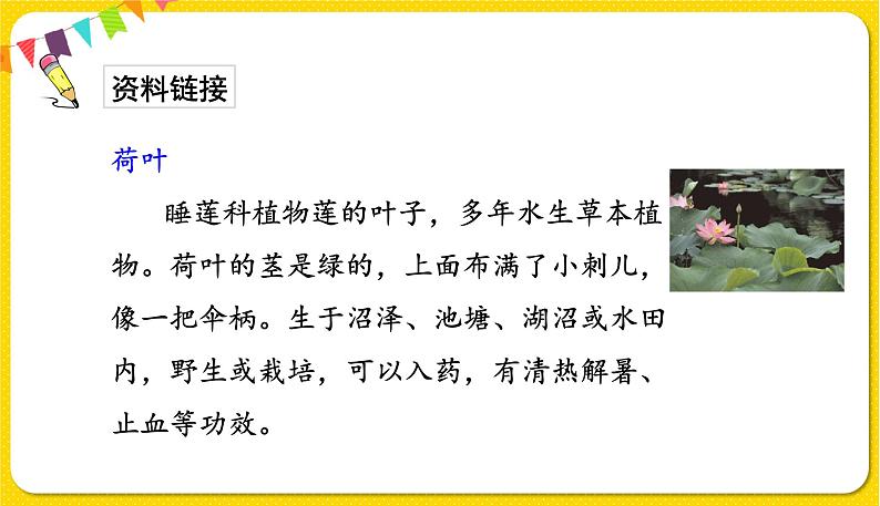 人教部编版一年级下册语文——课文4 13.荷叶圆圆课件PPT第4页