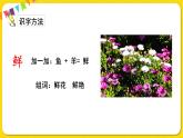 人教部编版  二年级下册 课文1 ——3.开满鲜花的小路课件PPT