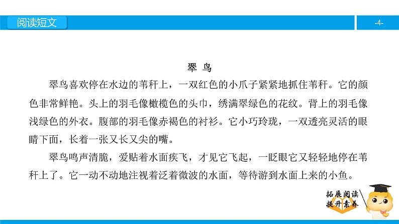 三年级【专项训练】课外阅读：翠 鸟（上）课件PPT第4页