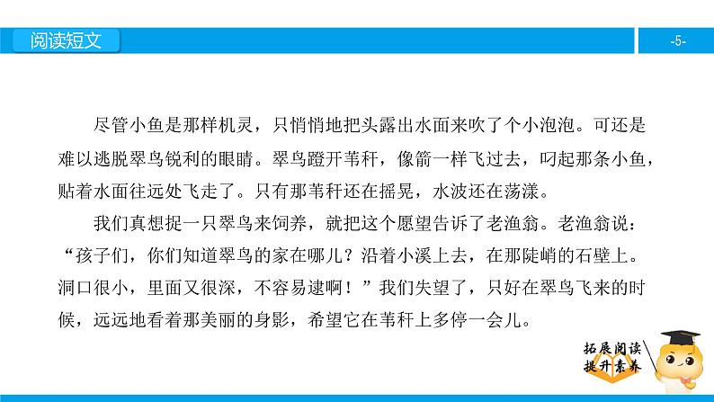 三年级【专项训练】课外阅读：翠 鸟（上）课件PPT第5页