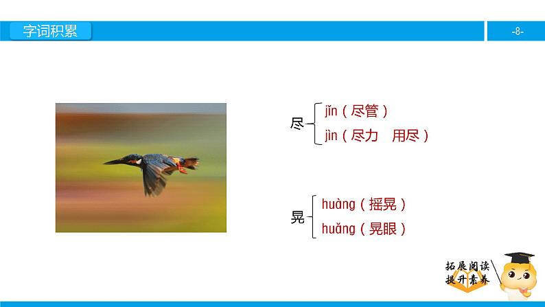 三年级【专项训练】课外阅读：翠 鸟（上）课件PPT第8页