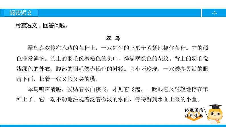 三年级【专项训练】课外阅读：翠 鸟（下）课件PPT第3页