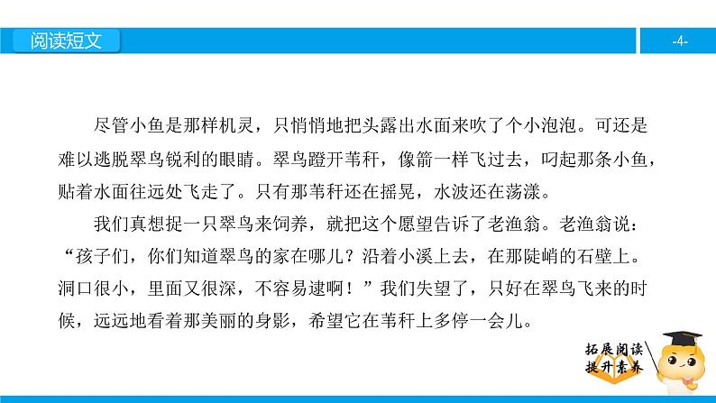 三年级【专项训练】课外阅读：翠 鸟（下）课件PPT第4页