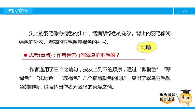 三年级【专项训练】课外阅读：翠 鸟（下）课件PPT第6页