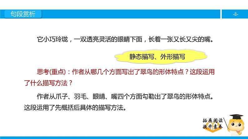 三年级【专项训练】课外阅读：翠 鸟（下）课件PPT第8页