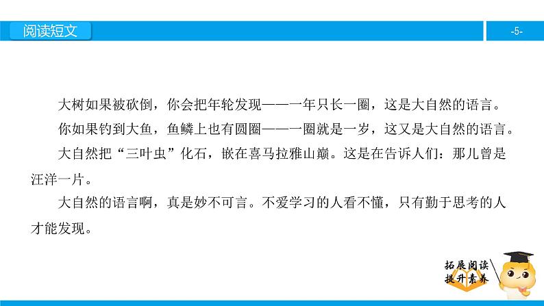 三年级【专项训练】课外阅读：大自然的语言（上）课件PPT第5页