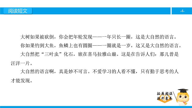 三年级【专项训练】课外阅读：大自然的语言（下）课件PPT第4页