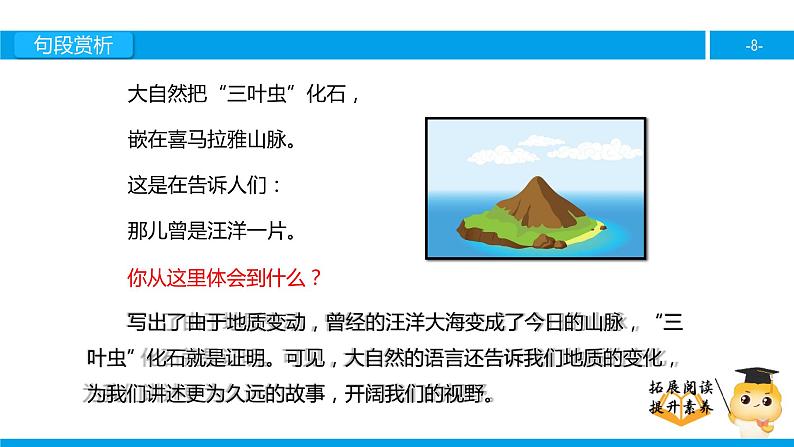 三年级【专项训练】课外阅读：大自然的语言（下）课件PPT第8页