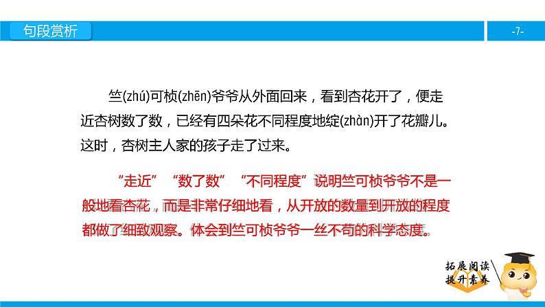 三年级【专项训练】课外阅读：第一朵杏花（下）课件PPT第7页