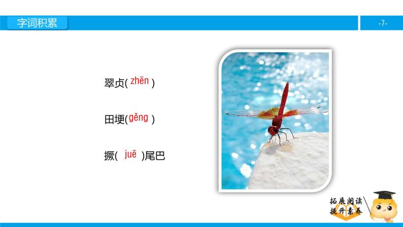 三年级【专项训练】课外阅读：放飞蜻蜓（上）课件PPT07
