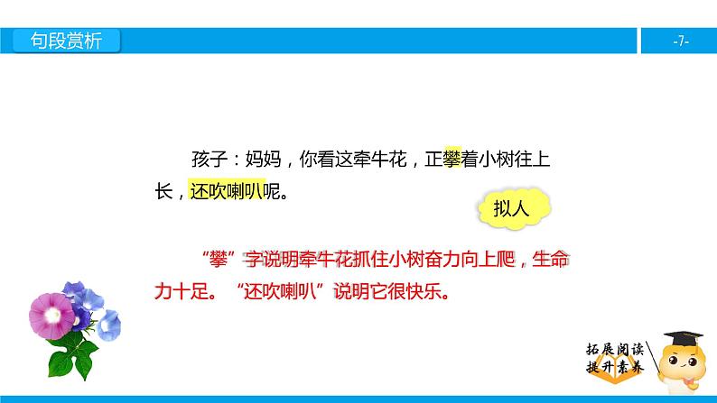 三年级【专项训练】课外阅读：关于牵牛花的评论（下）课件PPT07