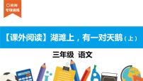 三年级【专项训练】课外阅读：湖滩上，有一对天鹅（上）课件PPT