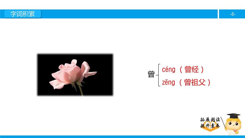 三年级【专项训练】课外阅读：花是种给别人看的（上）课件PPT08