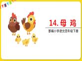 人教部编版语文四年级下册第四单元——14母鸡课件PPT