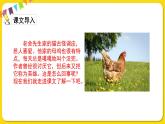 人教部编版语文四年级下册第四单元——14母鸡课件PPT
