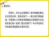 人教部编版五年级下册 第一单元——2祖父的园子课件PPT