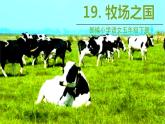 人教部编版五年级下册 第七单元——19牧场之国课件PPT