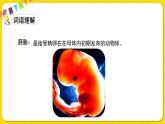 人教部编版五年级下册 第八单元——23童年的发现课件PPT