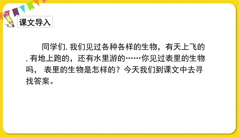 人教部编版六年级下册 第五单元 ——16表里的生物课件PPT第2页