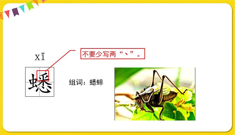 人教部编版六年级下册 第五单元 ——16表里的生物课件PPT第7页