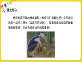 人教部编版语文四年级下册第八单元——25.宝葫芦的秘密课件PPT