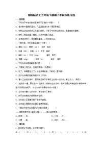 小学语文人教部编版五年级下册14 刷子李同步练习题