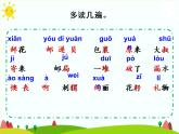 3. 开满鲜花的小路课件PPT