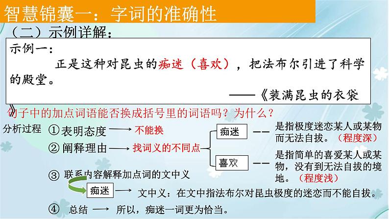 13.字词的准确性课件PPT第5页