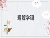 6.理解字詞課件PPT