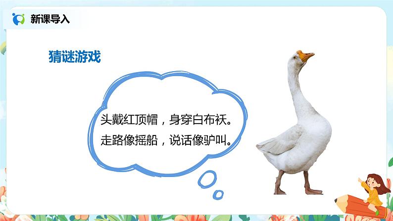15.白鹅（第1课时）课件（送教案+练习）02