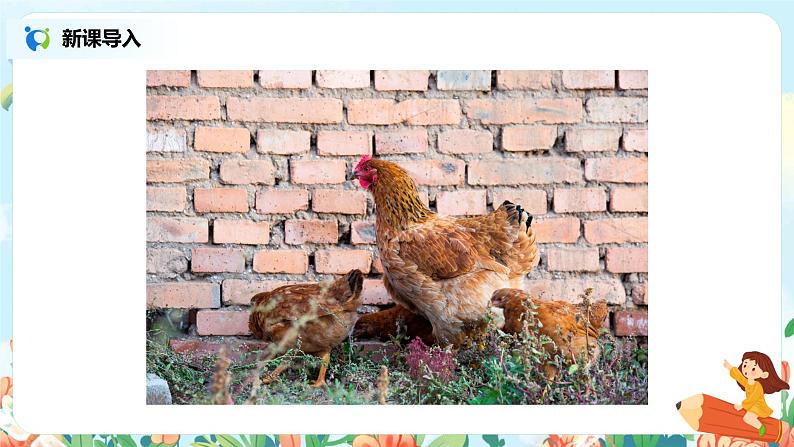 14.母鸡（第1课时）课件（送教案+练习）03