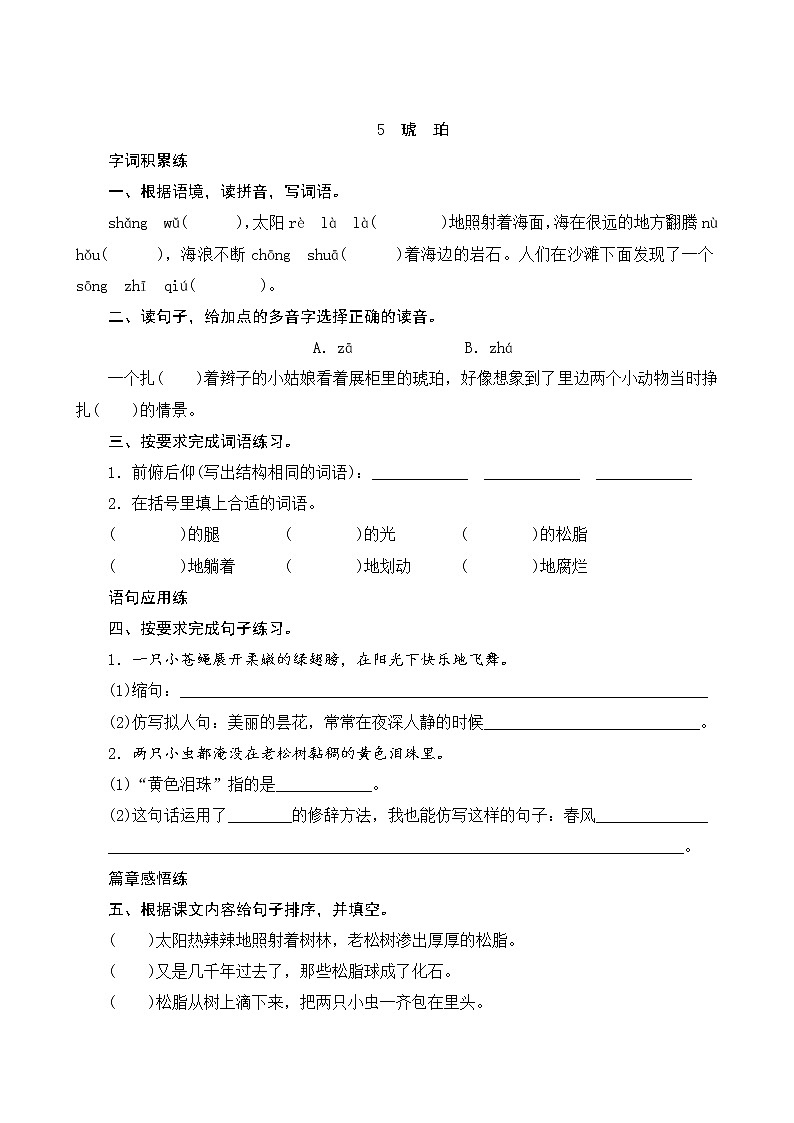 5《琥珀》课件+教案+素材+练习01