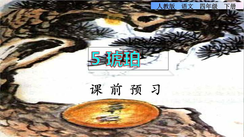 5《琥珀》课件+教案+素材+练习01