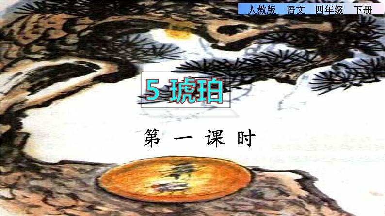 5《琥珀》课件+教案+素材+练习01