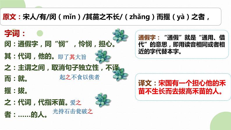 15.《揠苗助长》课件PPT第7页