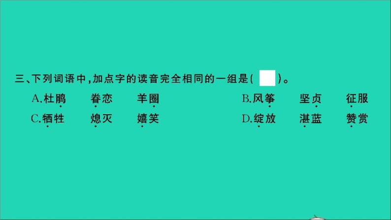 2021年语文满分特训第一部分专题复习第一章汉语拼音与汉字专题综合训练二课件04