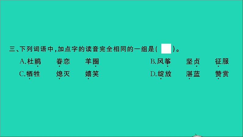 2021年语文满分特训第一部分专题复习第一章汉语拼音与汉字专题综合训练二课件第4页