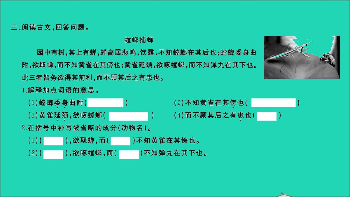 2021年语文满分特训第一部分专题复习第六章阅读专题综合训练十七课件第3页
