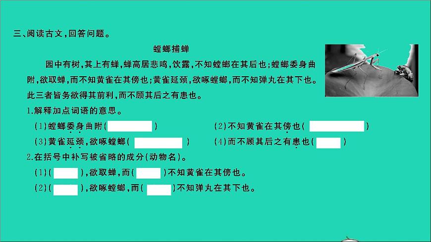 2021年语文满分特训第一部分专题复习第六章阅读专题综合训练十七课件第3页