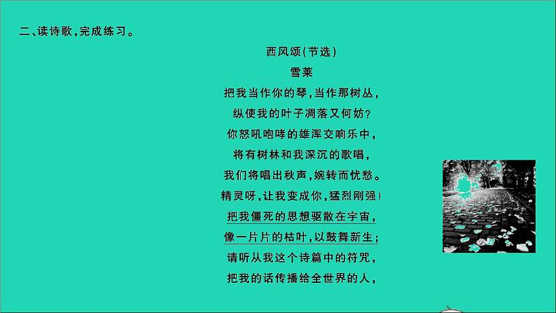 2021年语文满分特训第一部分专题复习第六章阅读专题综合训练二十课件第5页