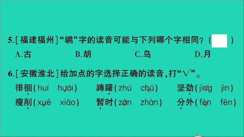 2021小升初语文归类冲刺专题一拼音与汉字专项二字音字义字形课件06
